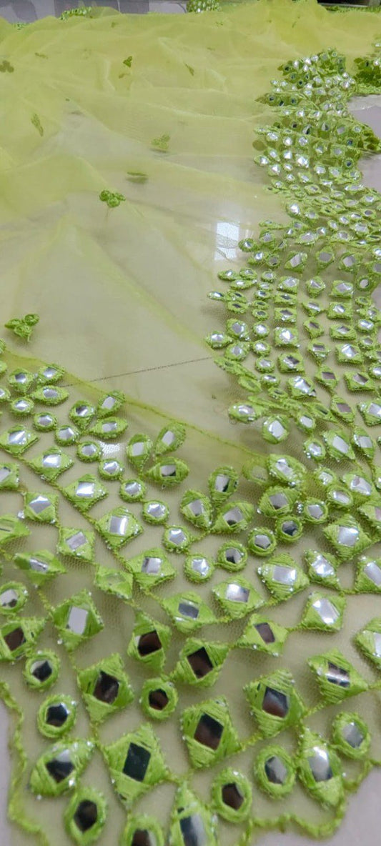 Light Parrot Green Embroidered Fully Stitched Lehenga Choli