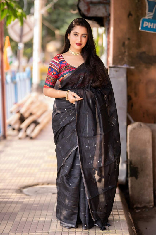Linen black saree with aari mirror work & stitched blouse