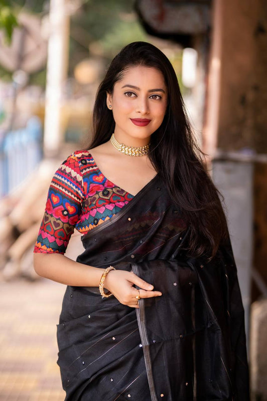 Linen black saree with aari mirror work & stitched blouse