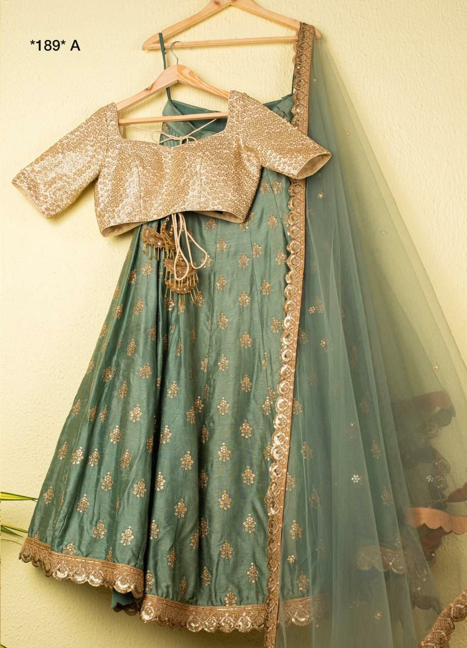 Pastel Green Lehenga with fully stitched blouse