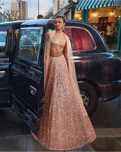 Premium Peach Net Lehenga with Sequins and Dori Work Fully Stitched