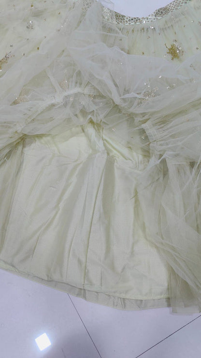 Premium Pastel Pistachio Net Fabric Readymade Lehenga