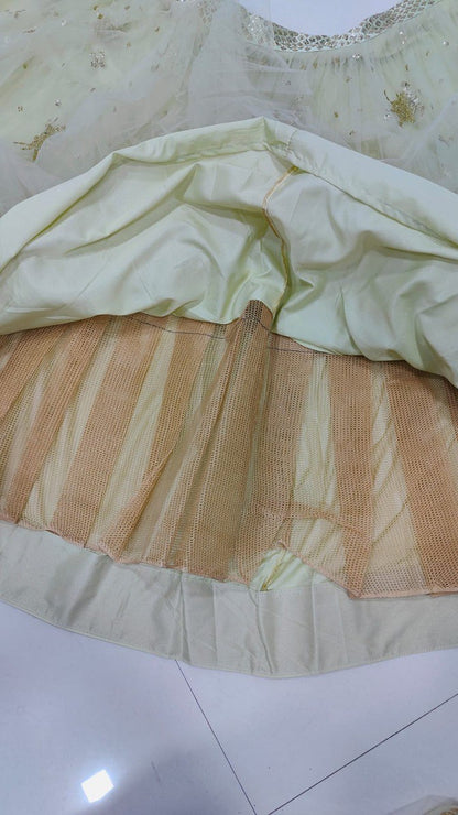 Premium Pastel Pistachio Net Fabric Readymade Lehenga